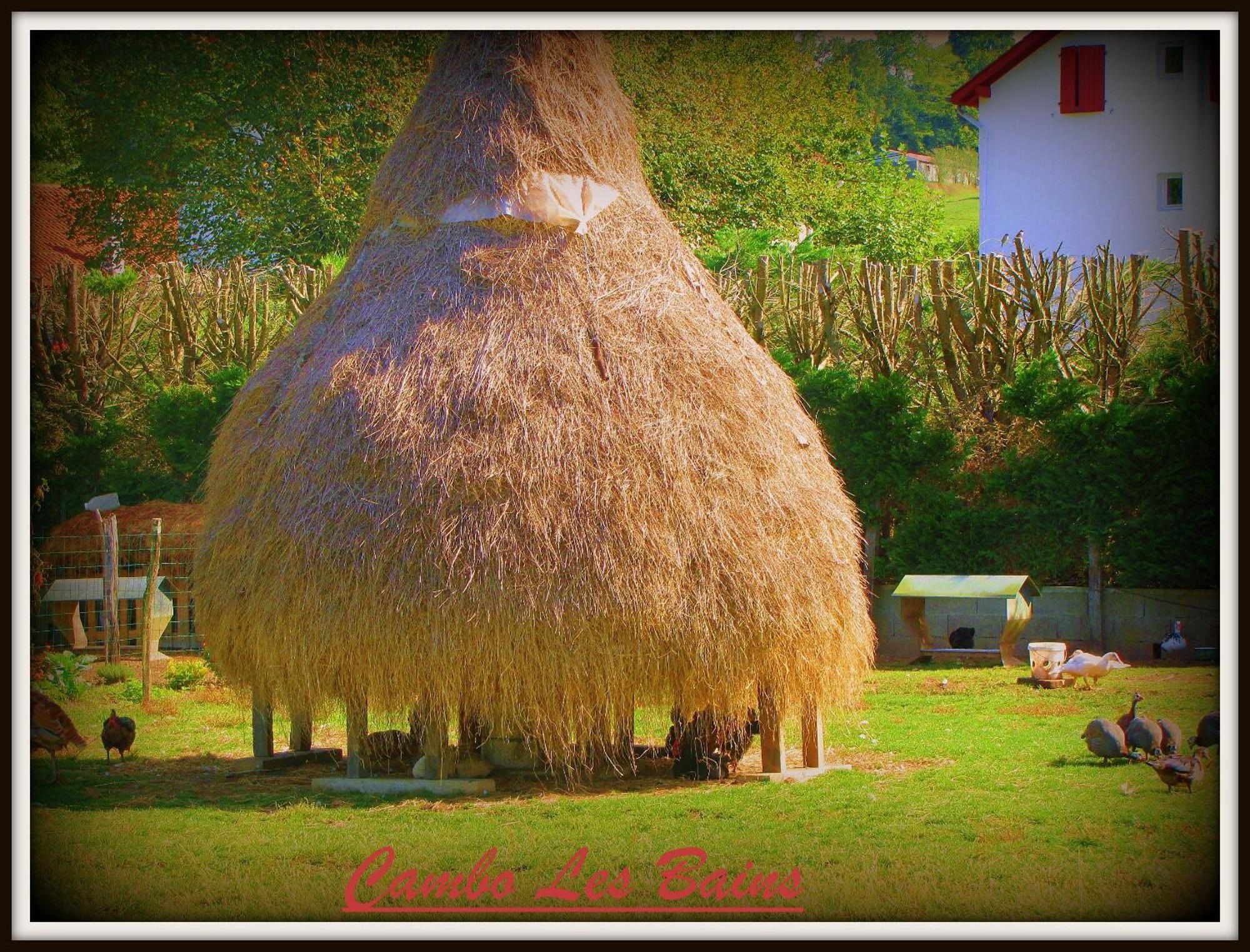 Hotel Ursula Cambo-les-Bains Buitenkant foto